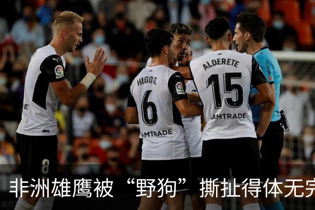 非洲雄鹰被“野狗”撕扯得体无完肤，真是笑话一场！